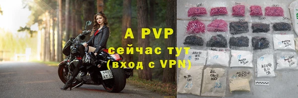 прущая мука Нея