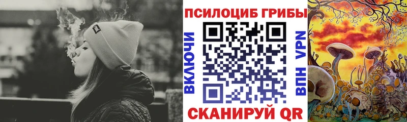 как найти закладки  Новопавловск  Псилоцибиновые грибы прущие грибы 
